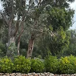 A Muredda بونيفَسْيو