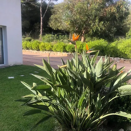 A Muredda Villa