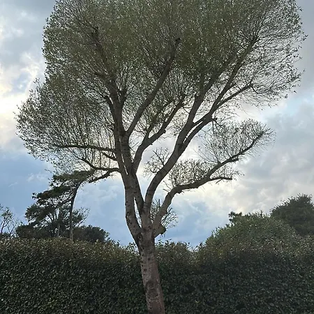 Βίλα A Muredda Bonifacio (Corsica)