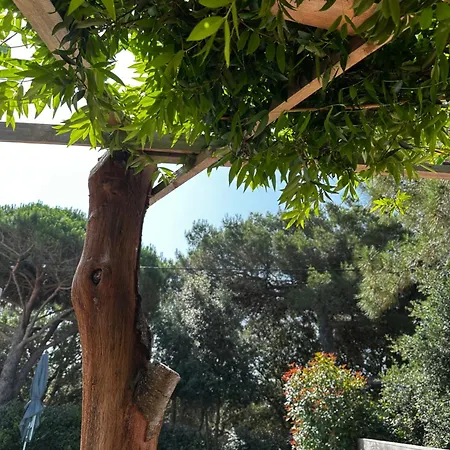 A Muredda Βίλα Bonifacio (Corsica)