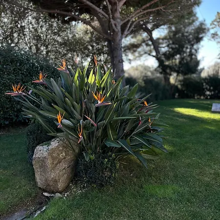 A Muredda Bonifacio (Corsica)