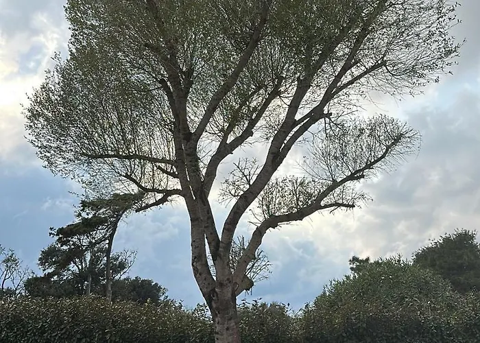 Villa A Muredda Bonifacio (Corsica)