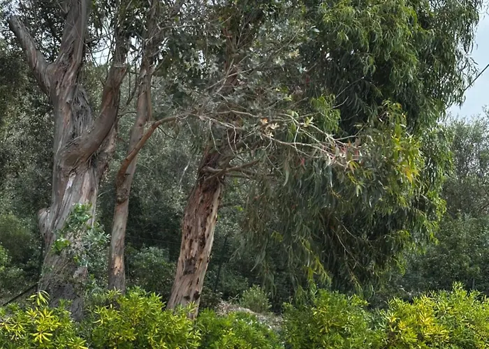 A Muredda Bonifacio (Corsica)
