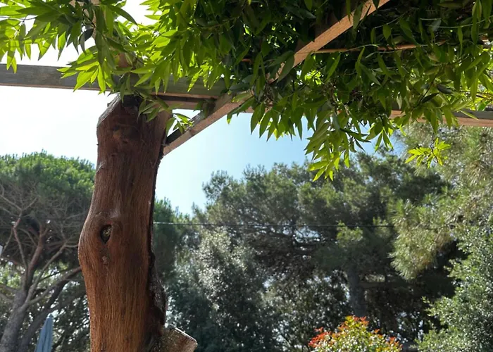 A Muredda Villa Bonifacio (Corsica)