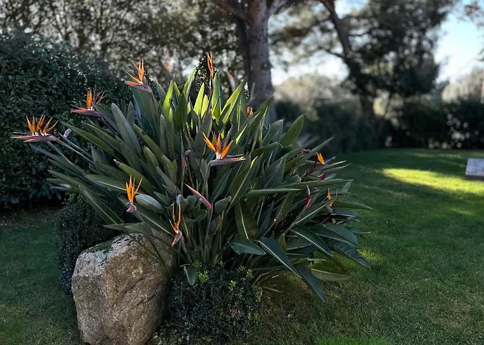 A Muredda Bonifacio (Corsica)